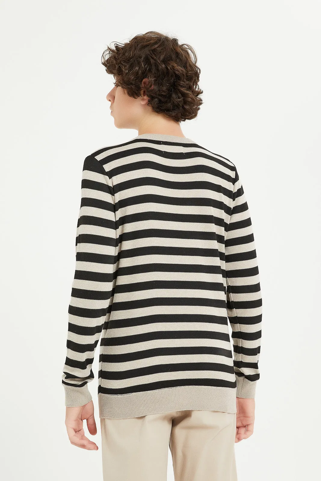 Senior Boys Beige Stripe Pullover