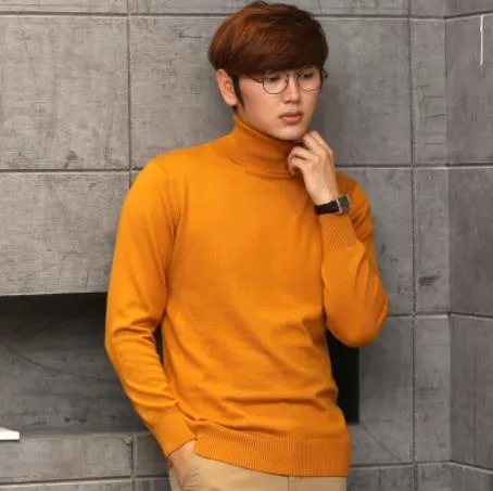 Turtleneck Long Sleeve Cashmere Sweater